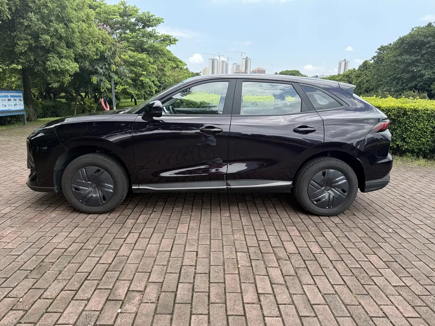 Dongfeng Fengxing Stellar X5 2025 2025 Pilot Edition