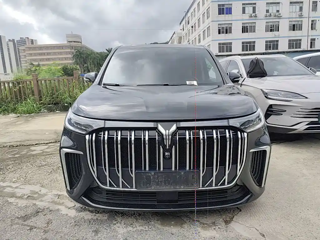 Фото 3 - Voyah Auto Voyah Dreamer