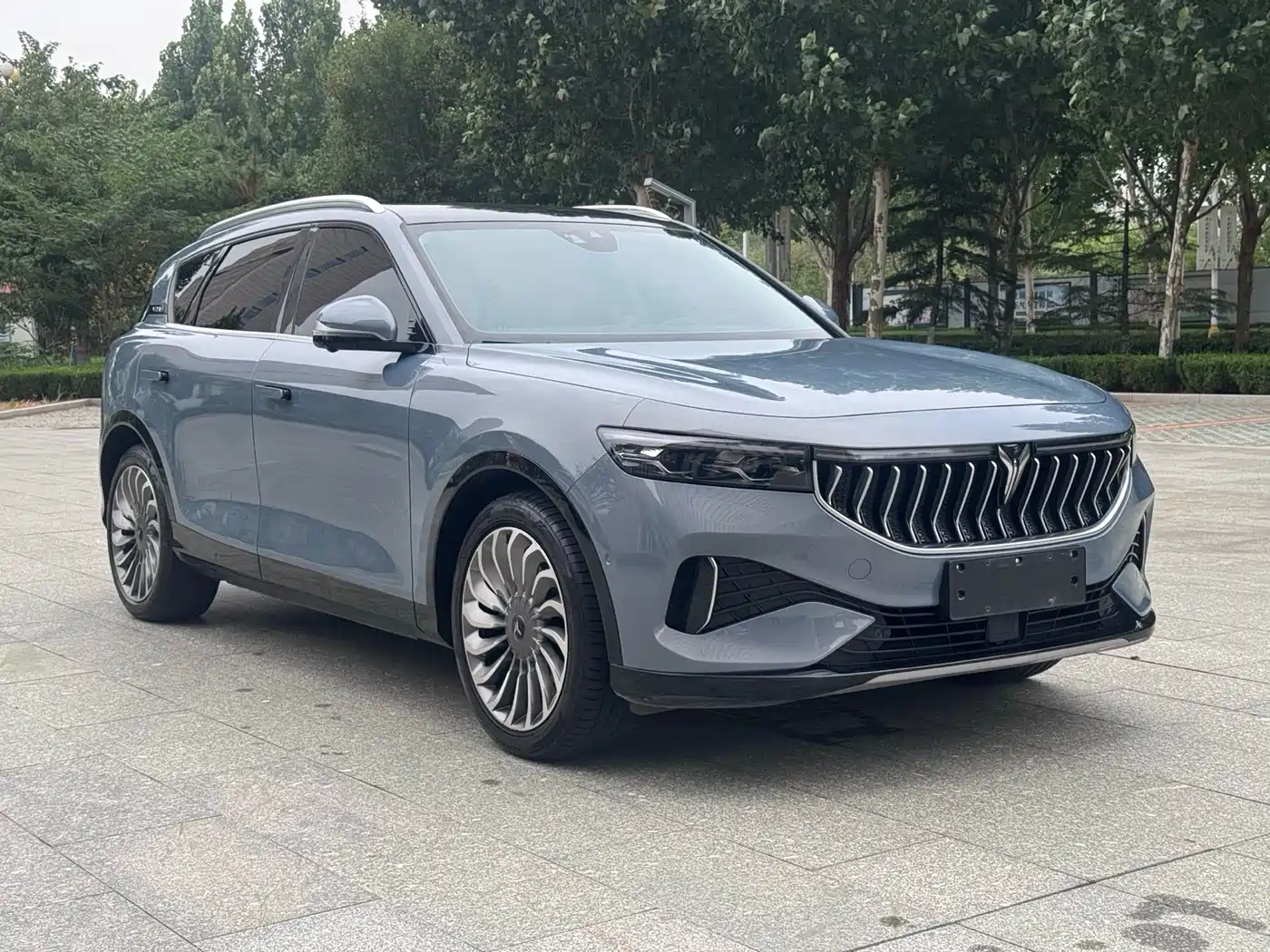 Voyah Auto VOYAH FREE 2022 2021 AWD Standard Pure Electric Exclusive Luxury Package