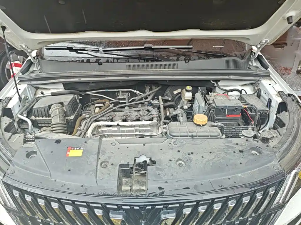Wuling Motors Wuling Jiachen 2024 2022 1.5T Manual Comfort Vitality