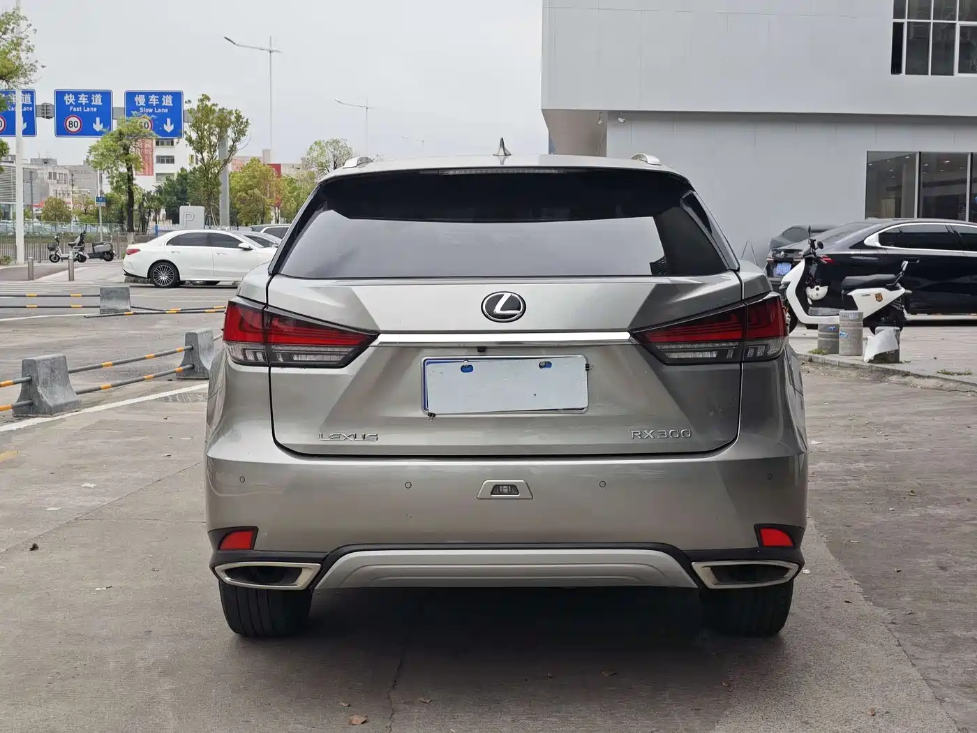 LEXUS RX