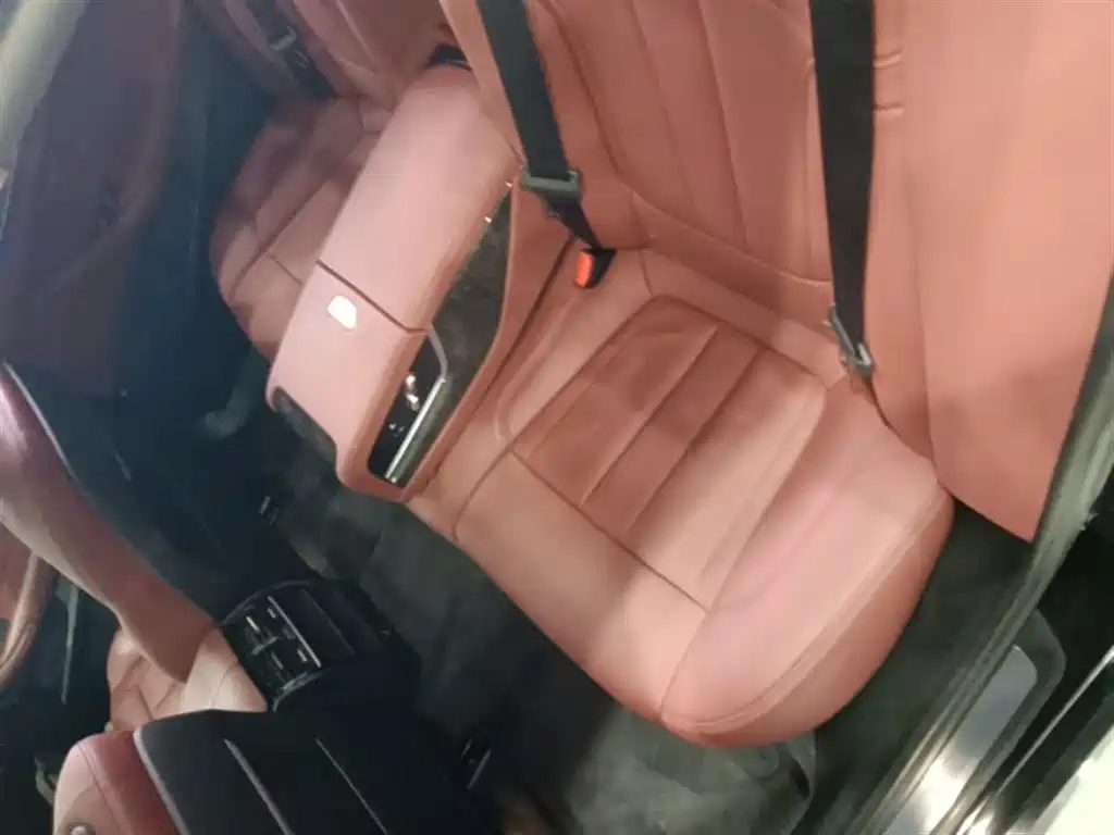 BMW 5 Series 2019 Facelift 530Li Leading M Sport Package фото 17