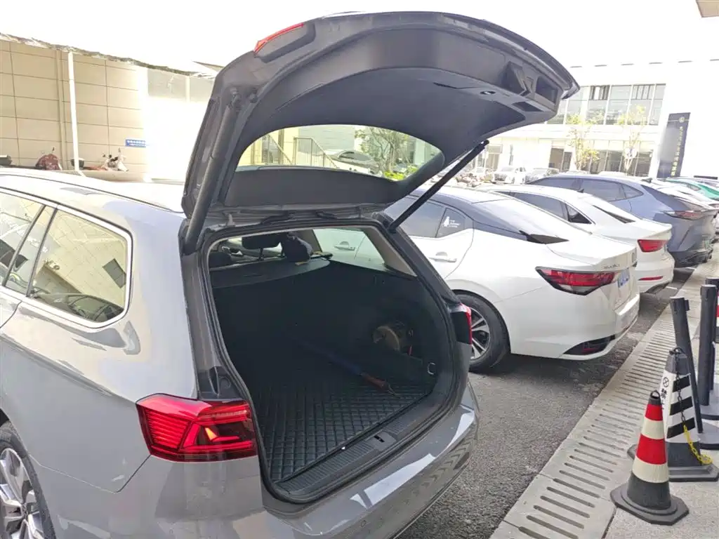 Volkswagen Weilan 2021 2.0T Smooth Ride Edition фото 19