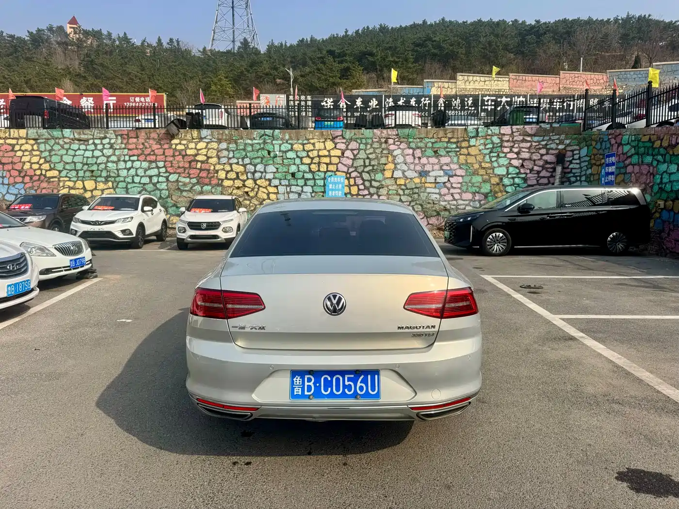 Volkswagen Magotan 2017 330TSI DSG Luxury фото 8