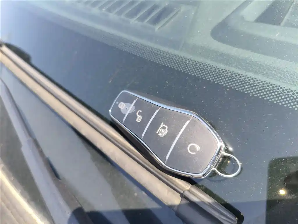 BYD Tang New Energy 2024 EV Champion Edition 730KM Premium фото 17