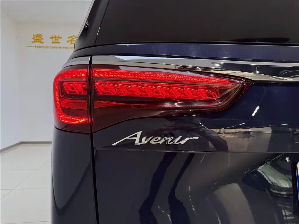 Buick GL8 2021 Avenir Aivia 4-Seater Prestige Edition фото 24