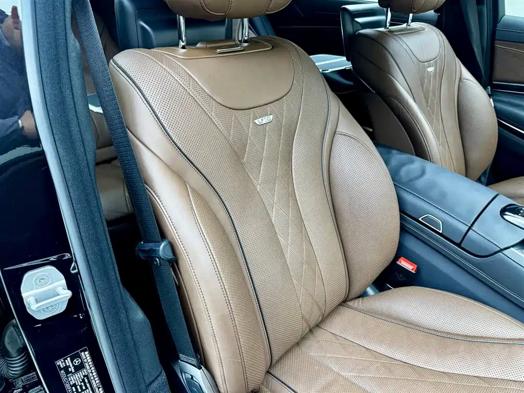 Mercedes-Benz S-Class 2014 S 600 L фото 19