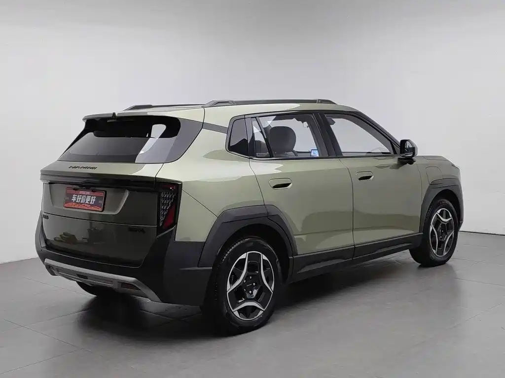2025 Dongfeng Yipai Nano 06