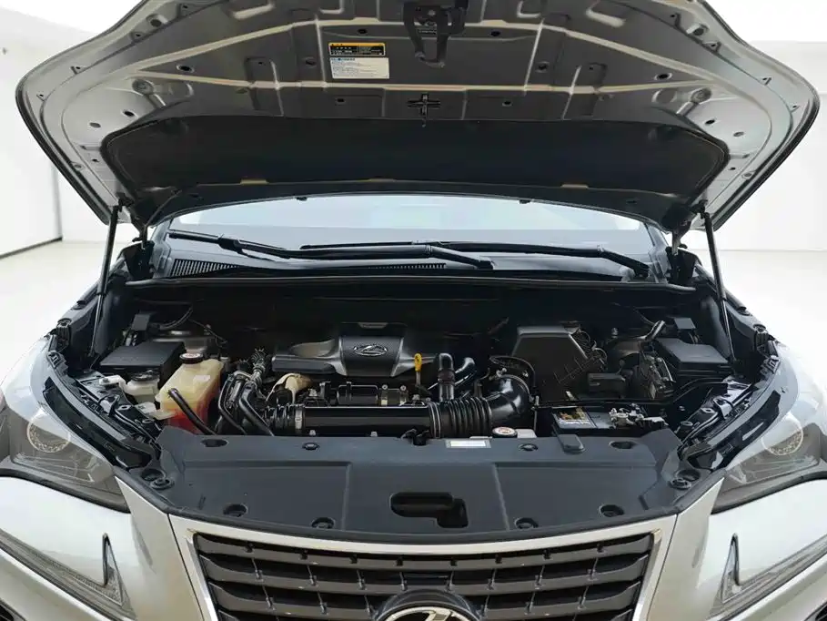 Lexus NX 2018 Model 300 FWD Fengxing Edition фото 6