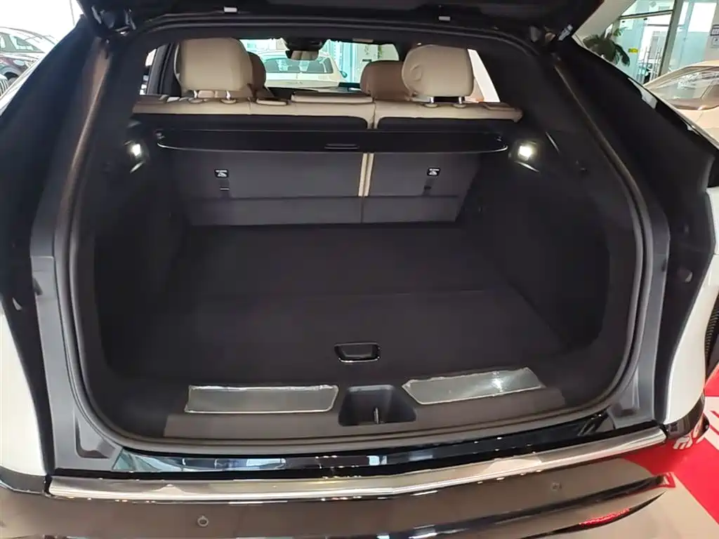 Cadillac IQ Rui Ge 2022 Rear-Wheel Drive Long Range Premium Edition фото 19