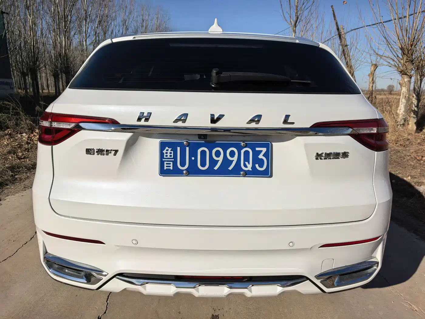 HAVAL F7
