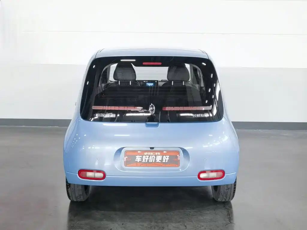 Ora White Cat 2021 2020 401km Flagship Model