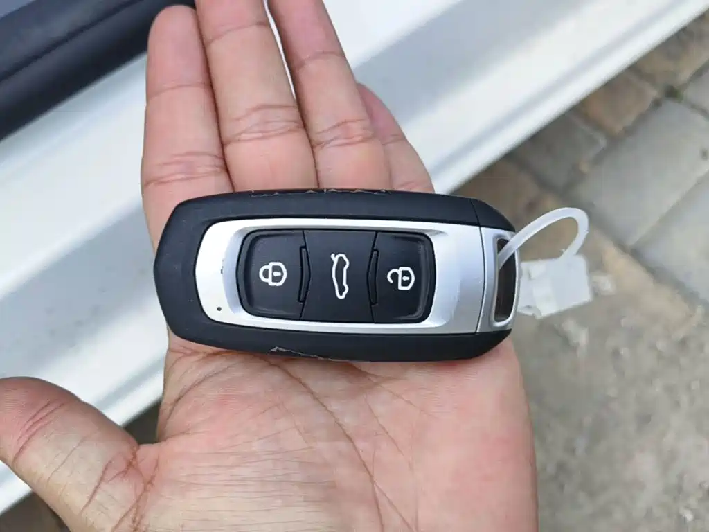 Geely Galaxy Panda 2026 2025 Panda mini 210km Vitality Bear