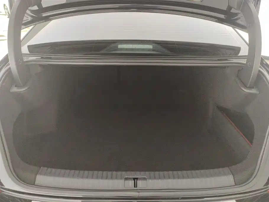 Volkswagen Passat 2024 380TSI Starlight Dragon Soaring Edition фото 4