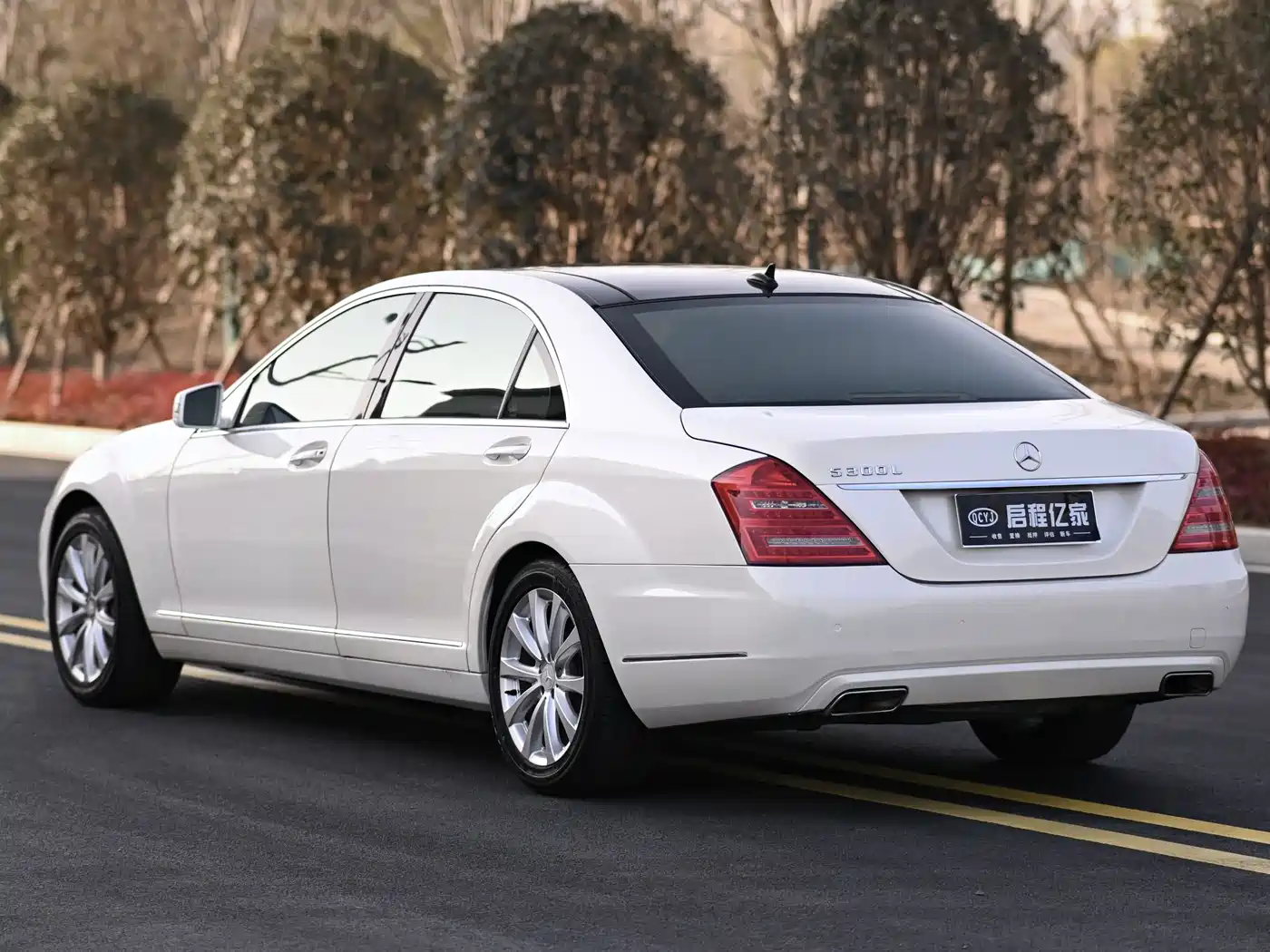 Mercedes-Benz S-Class 2010 S 300 L Luxury фото 18