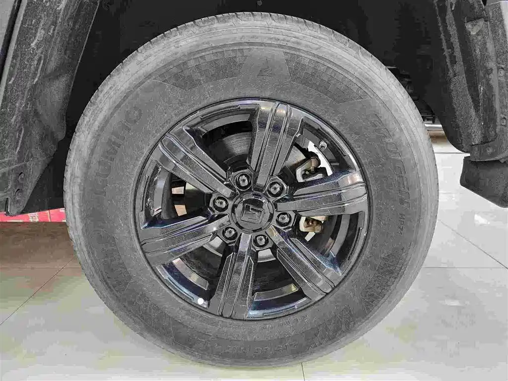 Tank 300 2023 Off-Road Edition 2.0T Conqueror фото 18