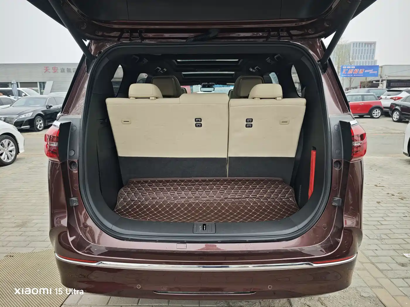 Buick GL8 2022 ES Landmark 653T Luxury фото 13