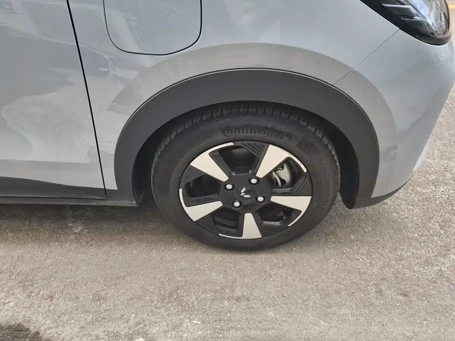 Wuling Motors Wuling Binguo PLUS 2025 2024 510km Range 5-seater
