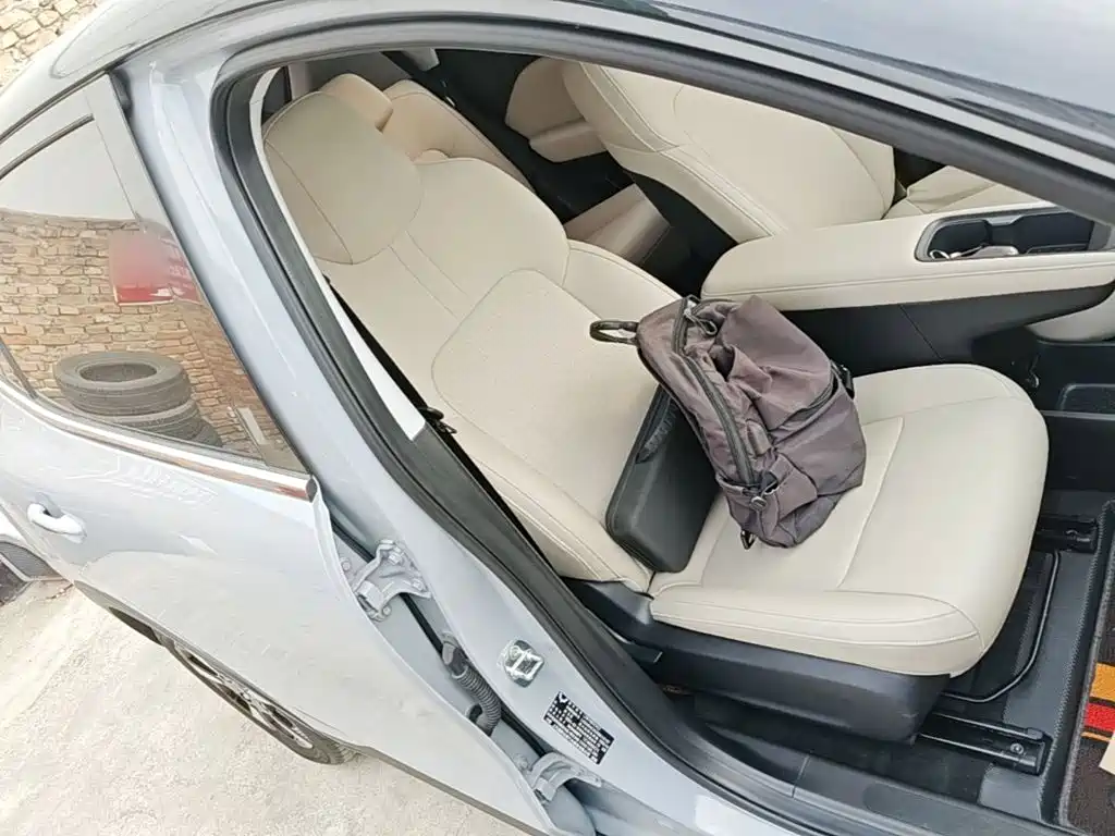 Wuling Motors Wuling Binguo PLUS 2024 2024 Model 510km Flagship Edition 4-Seater