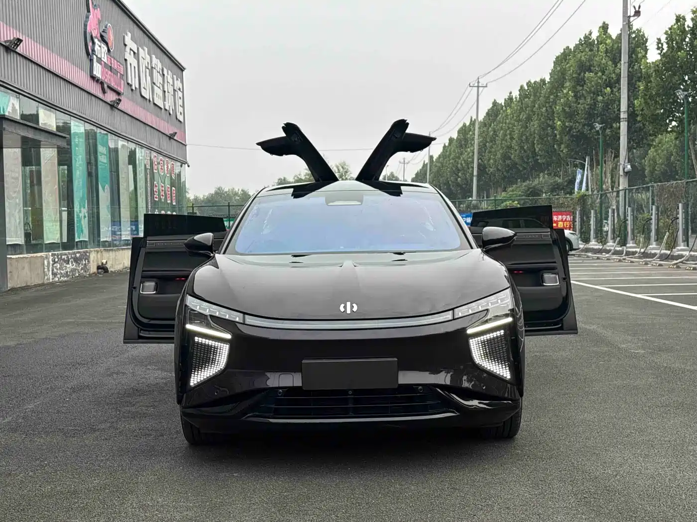 HiPhi X 2022 2021 Flagship Edition 6-Seater