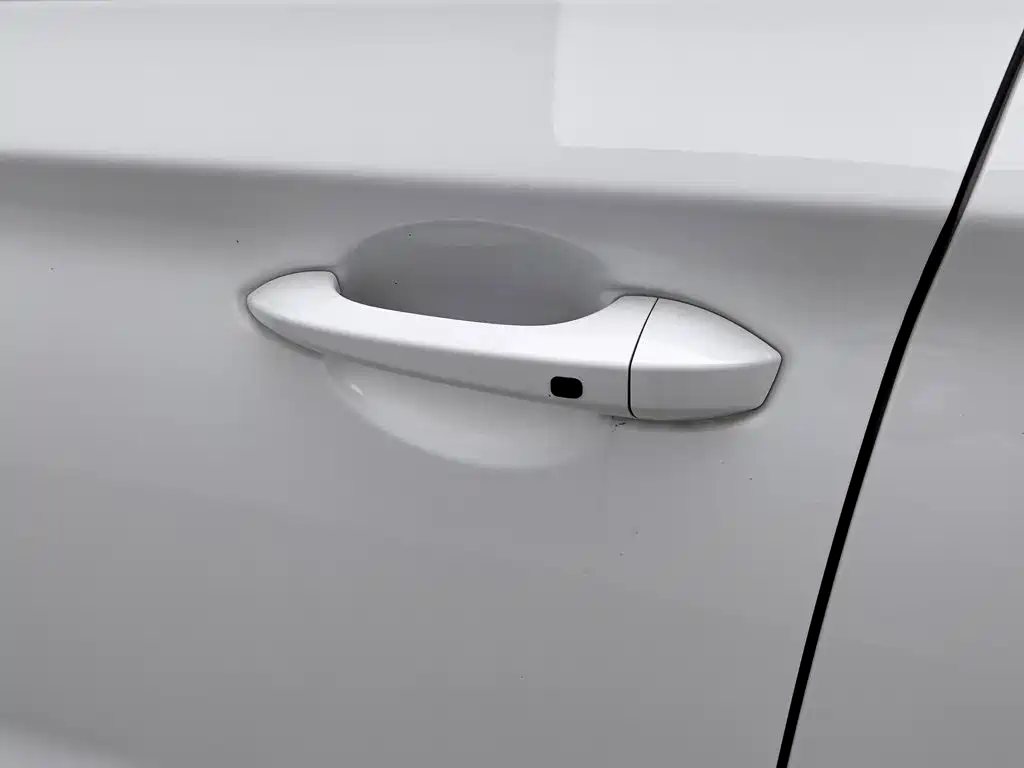 Leopaard CS9 2020 2017 1.5L Manual Trend