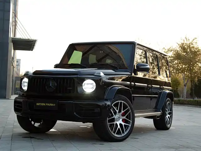 MERCEDES-BENZ G CLASS