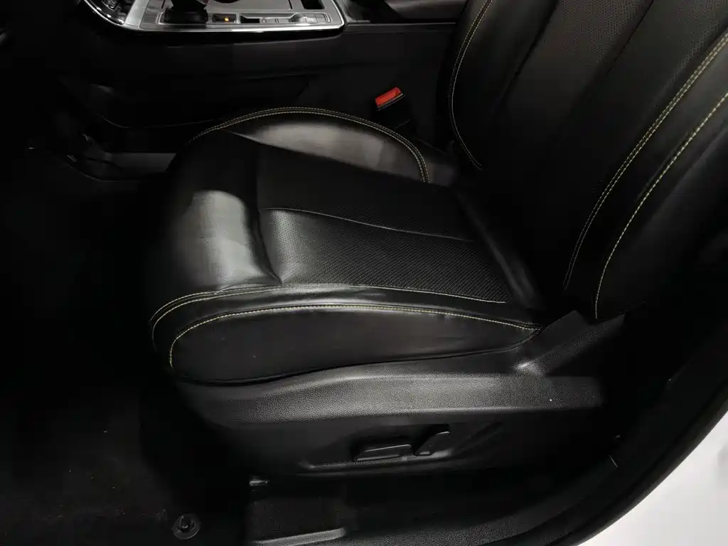 Фото 20 - Roewe RX5