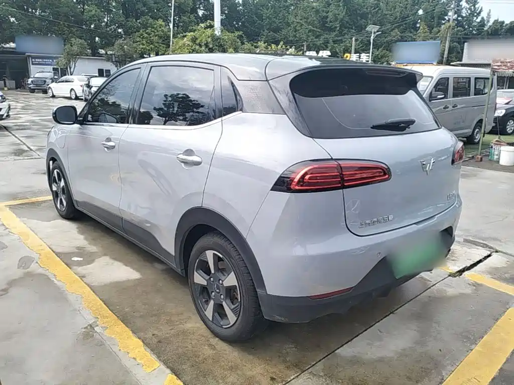 Wuling Motors Wuling Binguo PLUS 2024 2024 Model 510km Flagship Edition 4-Seater