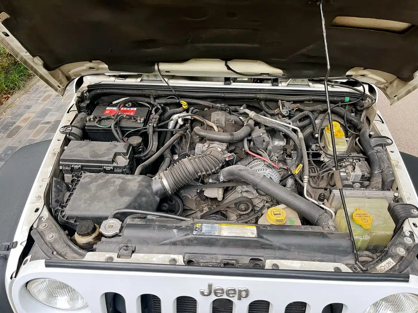 Jeep Wrangler 2011 2011 3.8L Rubicon 2-Door