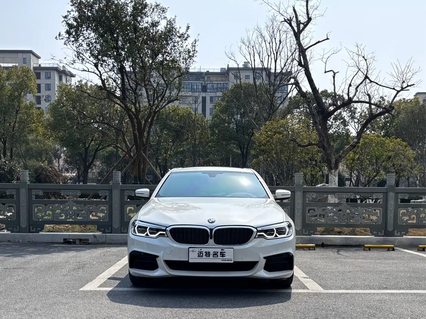 BMW 5 Series 2020 530Li Exclusive M Sport Package фото 2