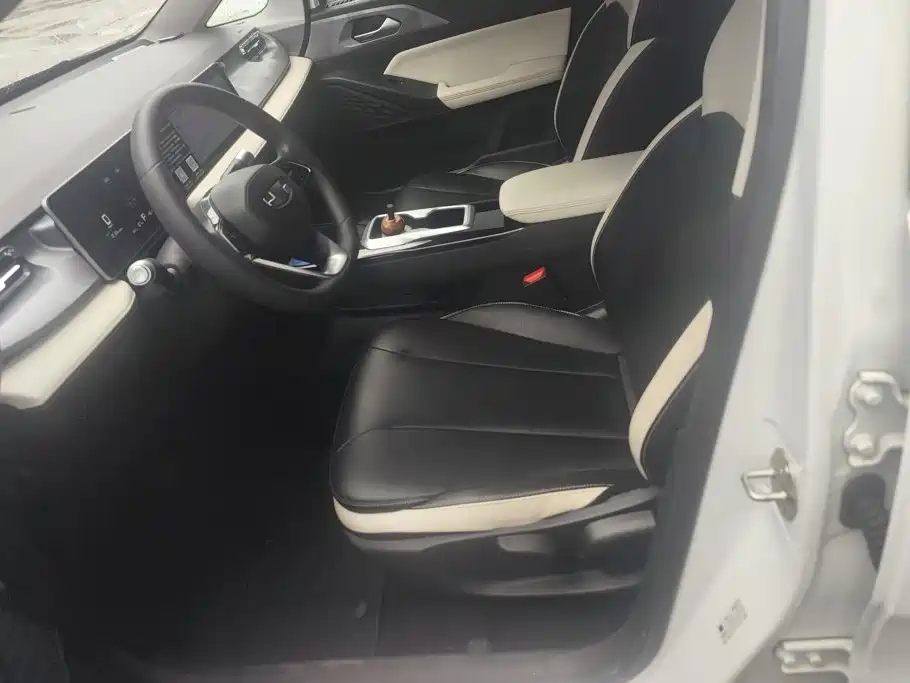 Geely Geometry E Firefly 2023 2024 Model 301km Starlight