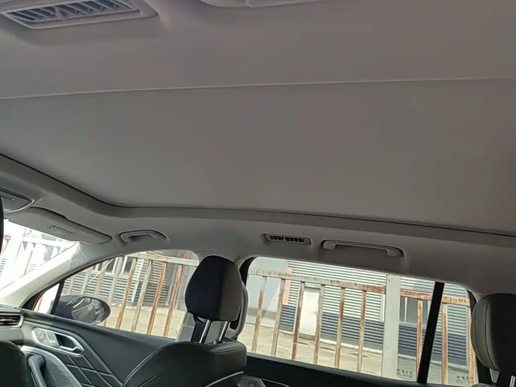 Photo 23 - Hongqi HS7 PHEV