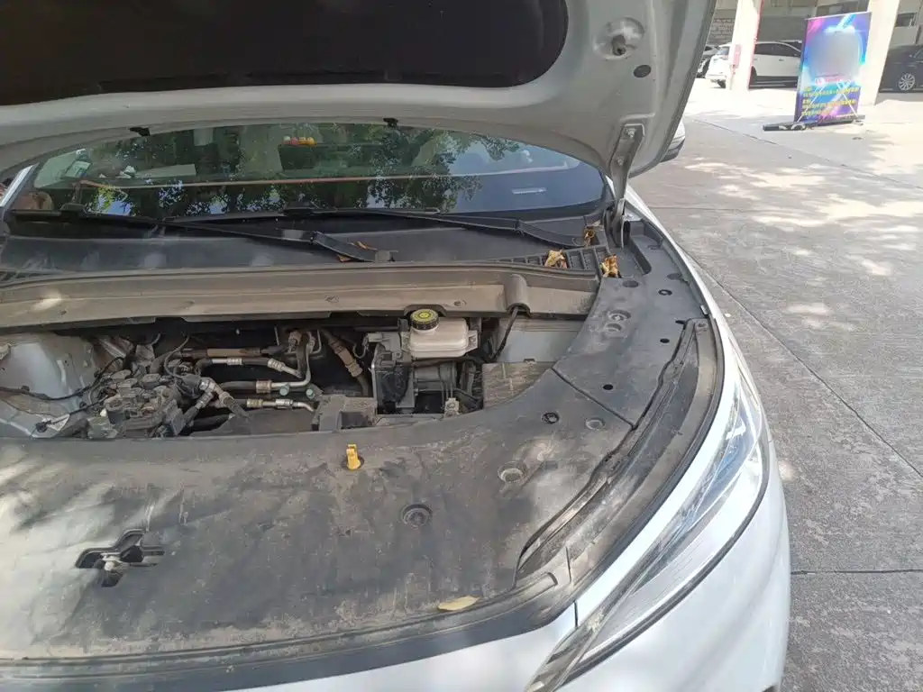 BYD Yuan PLUS 2025 2024 Glory Edition 430KM Leading