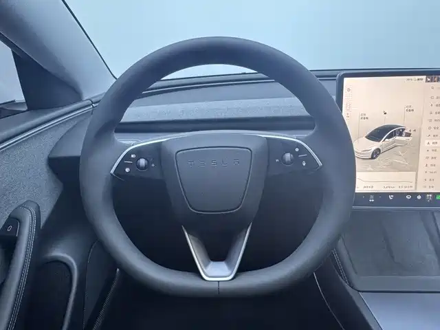 Tesla Model 3 2026 2025 Model Rear-Wheel Drive Edition