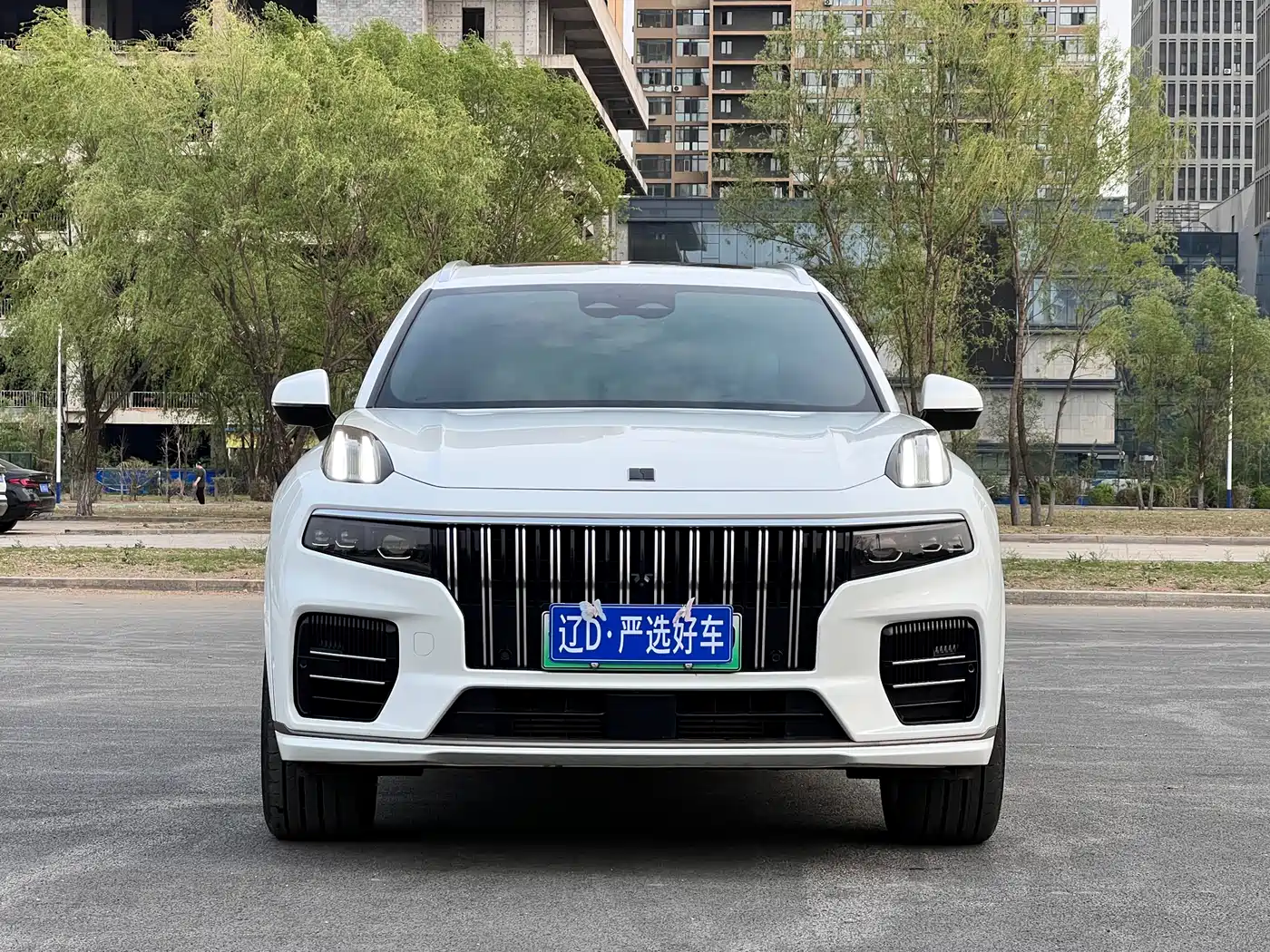 Lynk & Co 09 EM-P 2021 2.0T PHEV Ultra 6-seater фото 2