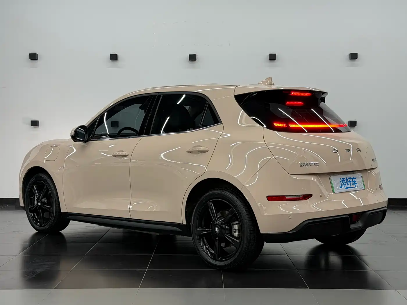Ora Good Cat 2024 2023 401km Standard Range Luxury NCM