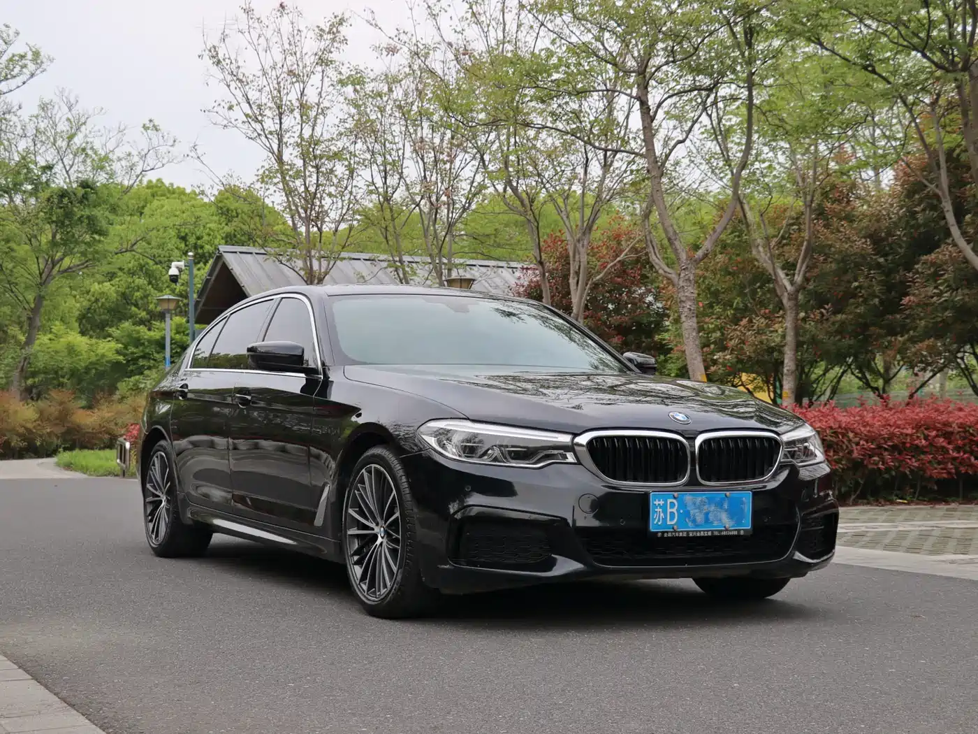 BMW 5 Series 2020 530Li Leading M Sport Package фото 5