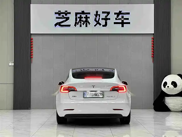 Tesla Model 3 2021 Standard Range Rear-Wheel Drive Upgrade 3D6 — фото 5