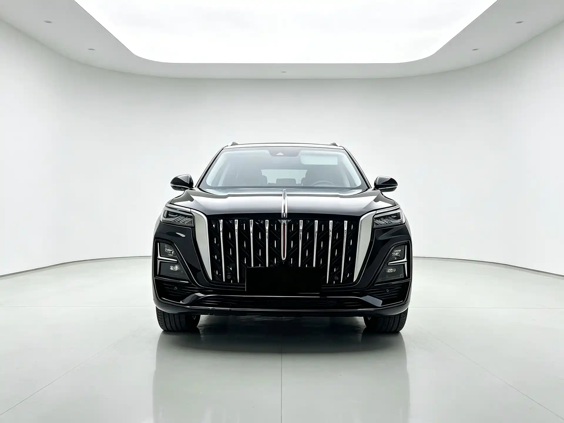 Photo 2 - Hongqi HS5