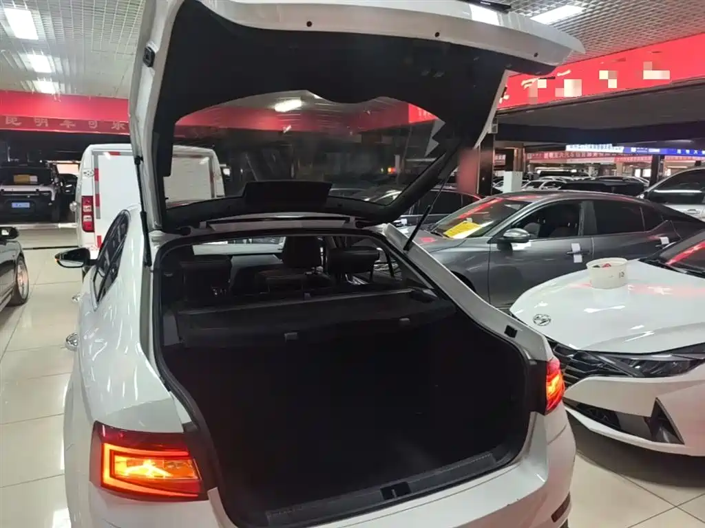 Škoda Octavia 2019 TSI280 DSG Smart Drive Luxury Edition China VI фото 19