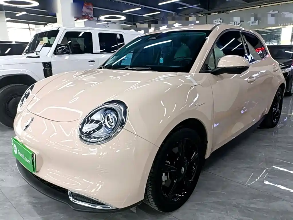 Ora Good Cat 2025 2024 401km Luxury
