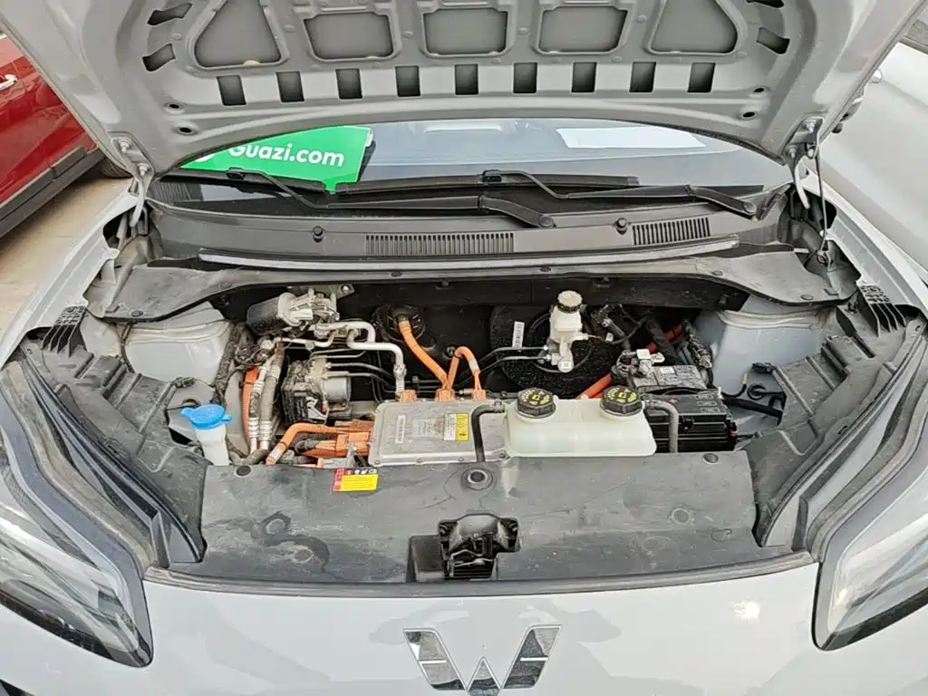 Wuling Motors Wuling Binguo PLUS 2024 2024 Model 510km Flagship Edition 4-Seater