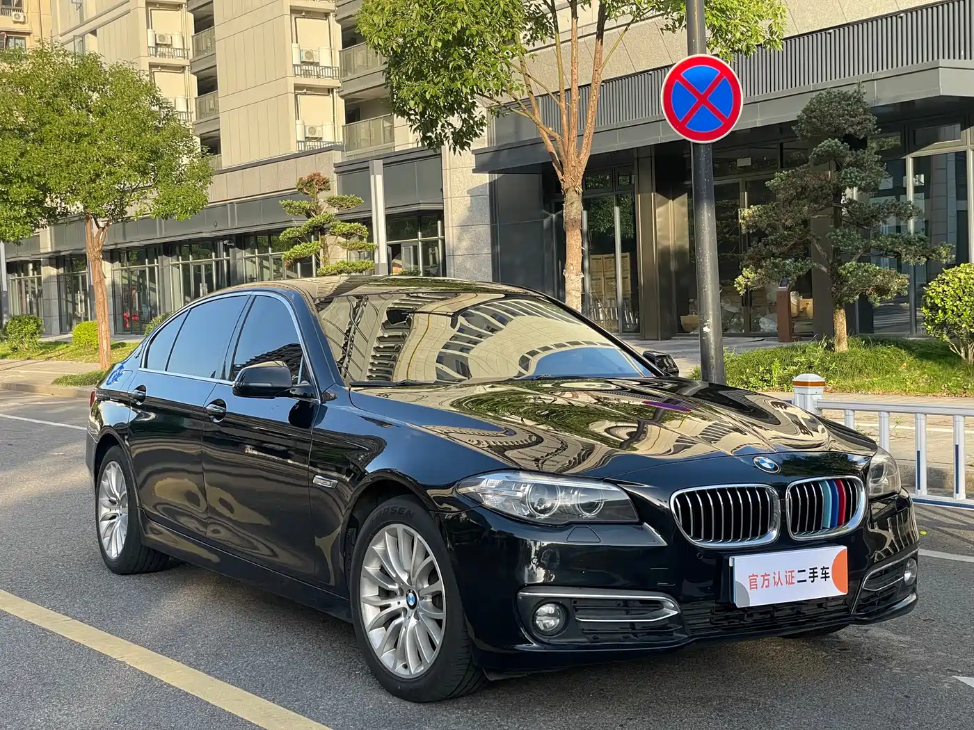 BMW 5 Series 2017 525Li Luxury Design Package фото 2