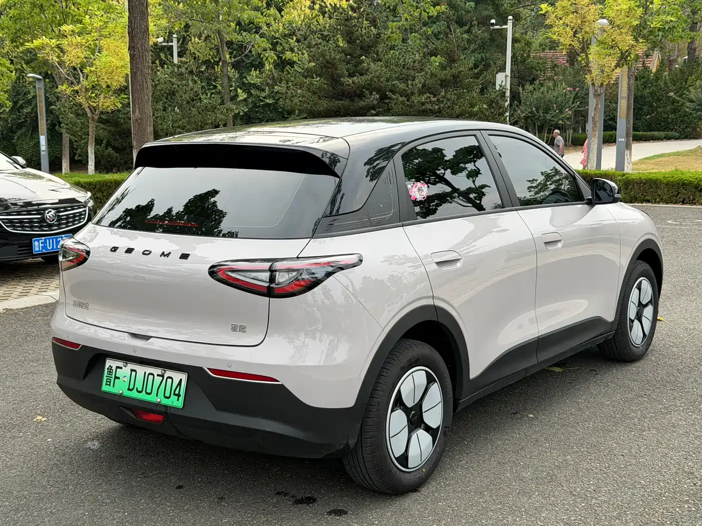 Geely Galaxy Starry Wish 2026 2026 Edition 310km Youth Version