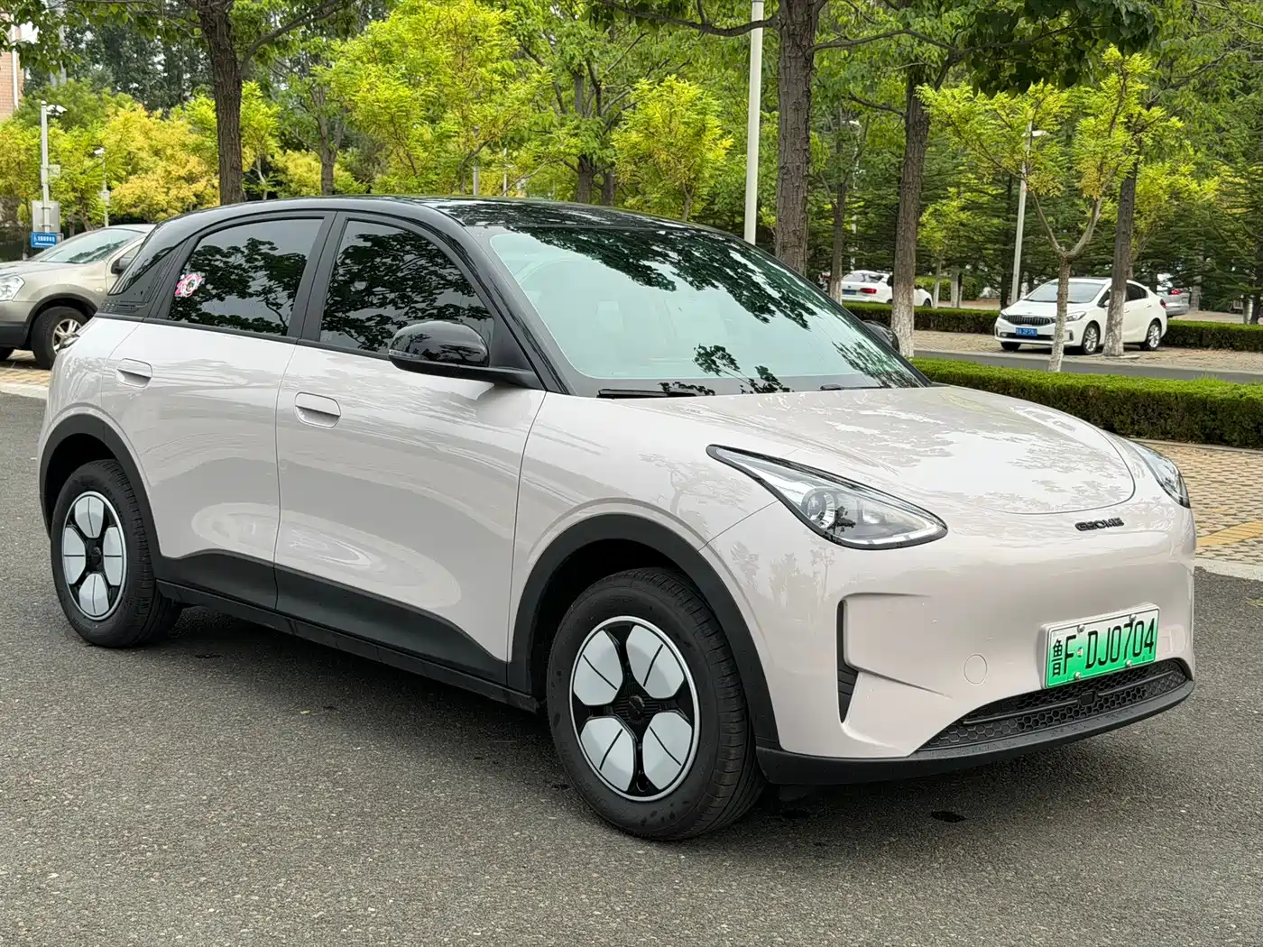 Geely Galaxy Starry Wish 2026 2026 Edition 310km Youth Version