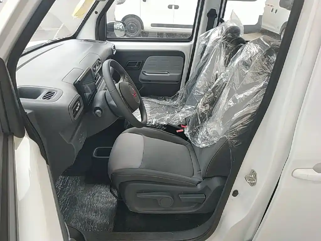 Wuling Motors Wuling Zhiguang NEV 2026 2025 Model 305km Base Version