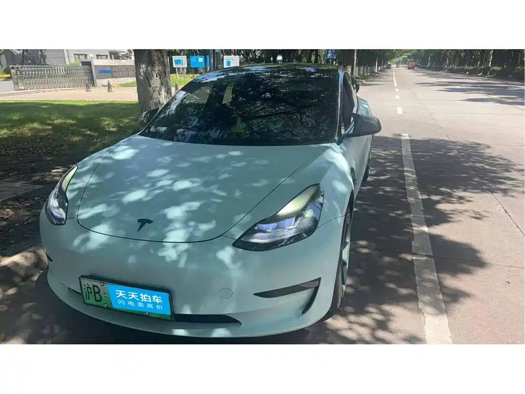 Tesla Model 3 2021 Standard Range Rear-Wheel Drive Upgrade