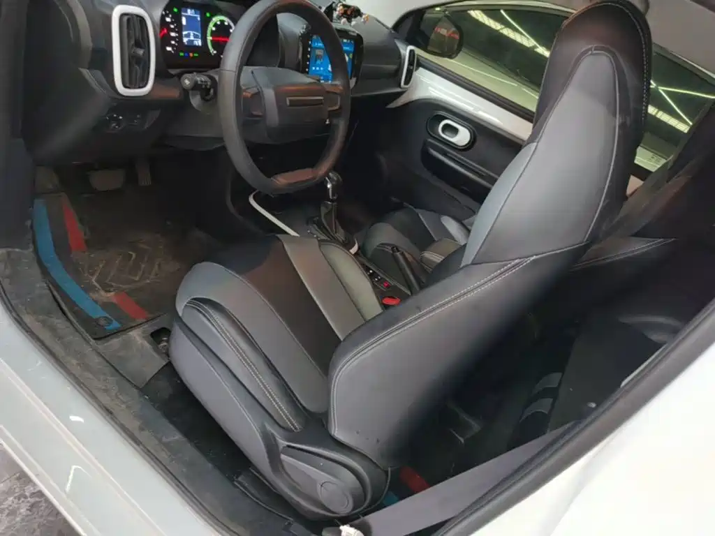 Roewe Clever 2023 2022 311km Vitality Bobo Edition