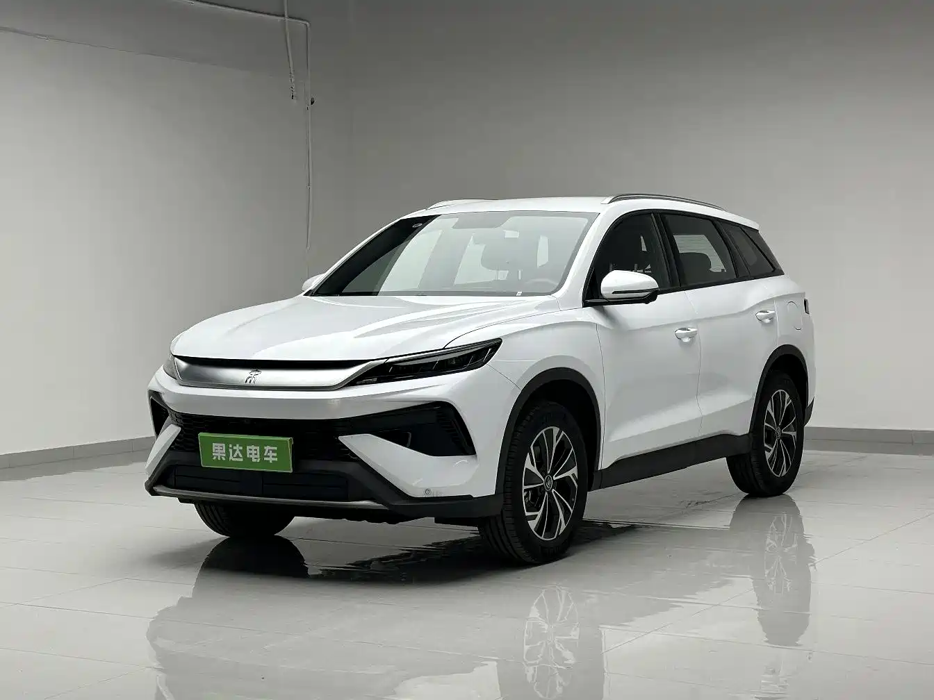 BYD SONGJIANG NEW ENERGY