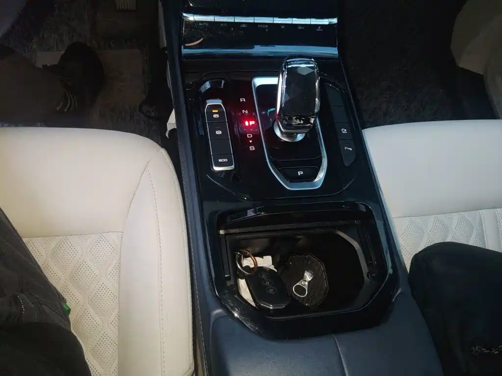 صورة 15 - Wuling Motors Wuling Victory